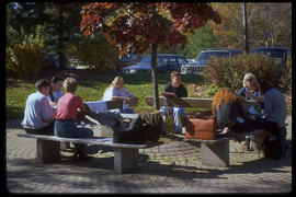 Photograph of students seated on benches outdoors