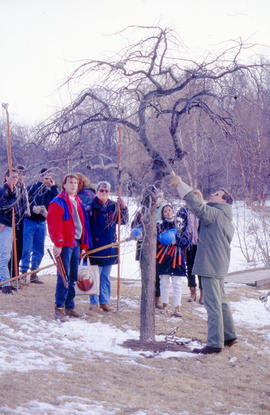 Photograph of Landscape Students Being Demonstrated How to Prune a Tree