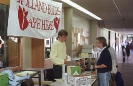 Photograph of Holland bulbs for sale