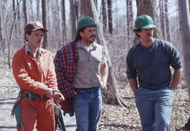Photograph of landscapers in the woods