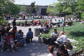 Photograph of an audience waiting for a performance