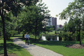 Photograph of someone walking next to the pond in the Arboretum