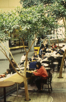 Photograph of students studying and relaxing