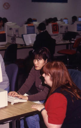 A photograph of students working at computers