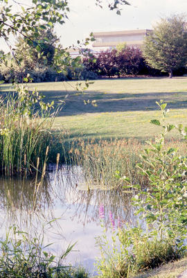 Photograph showing a view of the college building
