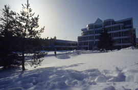Photograph of winter at Humber North main entrance