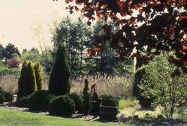Photograph of the tranquil arboretum