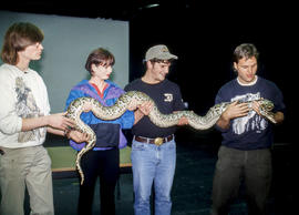 Photograph of four students holding an anaconda