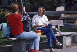 Photograph of students socializing outside on a bench