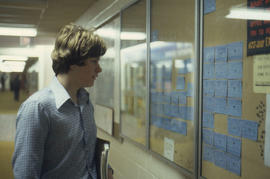 Photograph of student viewing the notice board