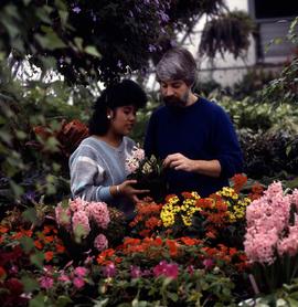 Photograph of Humber Staff Inside the Greenhouse
