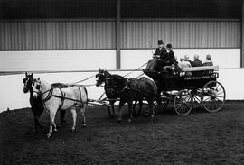 Photograph of Humber Staff Being Given a Ride in a Buckboard Wagon Drawn by Four Horses