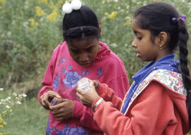 Photograph of Kids at the Arboretum Catching Insects