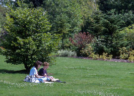 Photograph of two students enjoy a picnic lunch on the grass near a tree in the Arboretum.