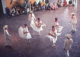 Photograph of a Cultural Event in the Concourse