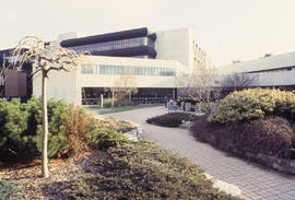 Photograph of a landscaped walkway at North Campus