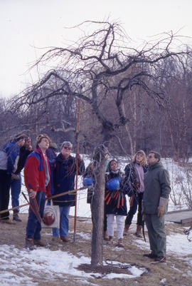 Photograph of a Landscaping Instructor Demonstrating How to Prune a Tree