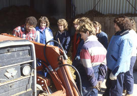 Photograph of students learning stall maintenance in the Equine Centre