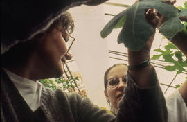 A photograph of Landscape students in the greenhouse