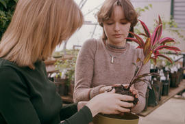 Photograph of Students Potting a Plant in North Greenhouse