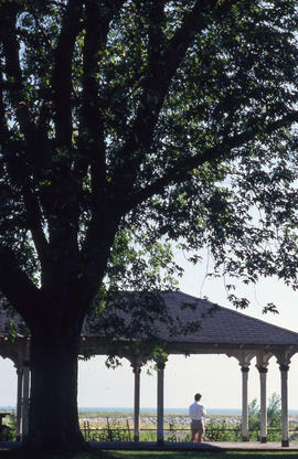 Photograph of a person standing underneath a canopy