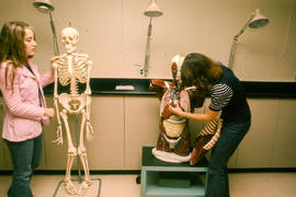 Photograph of Health Sciences Students Using a Skeleton and Human Organs Model in Class