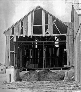 Photograph of a 150 Year Old Barn