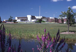 Photograph of a view of the campus buildings from the Arboretum