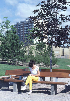 Photograph of a student reading while sitting on a bench