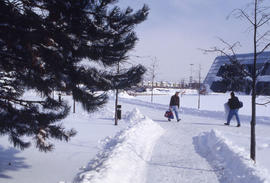 Photograph of People Walking Towards the Main Entrance