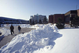 Photograph of the NX Building
