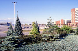 Photograph of a view of Humber residence buildings