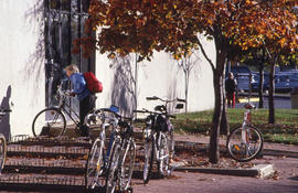 Photograph of bicycle racks