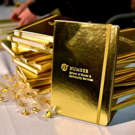 Photograph of notebooks and pins