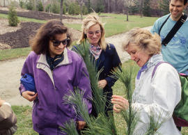 Photograph of staff members in the Arboretum for Earth Day celebrations
