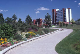 Photograph of the some of the flower beds in the Arboretum during summer