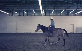 Person riding horse inside horse building : [photograph]