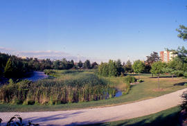 Photograph of the arboretum with students residence in the background