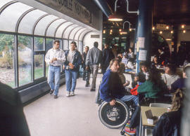 Photograph of a bustling cafeteria at Lakeshore campus