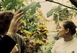 A photograph of Landscape students in the greenhouse