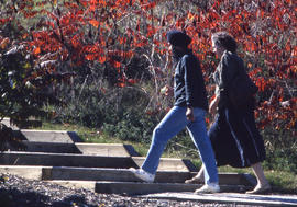 Photograph of two people walking through the Arboretum