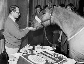 Photograph of an Equine Centre Staff Retirement Party