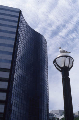 Photograph of an Unknown Office Building