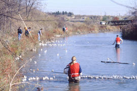 Photograph of students in the Humber River for an event for United Way