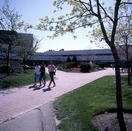 Photograph of the Walkways to the Main College Entrance