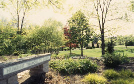 Photograph of Humber Tranquility Garden in the arboretum.