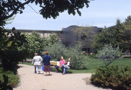 Photograph of campus-goers enjoying the courtyard at Lakeshore Campus