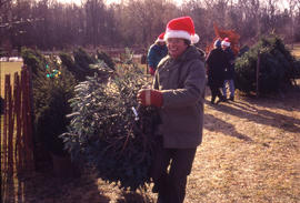 Photograph of Someone Picking Out a Christmas Tree