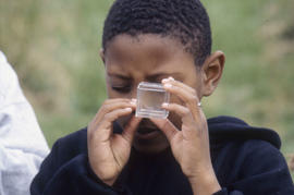 Photograph of Kids at the Arboretum Catching Insects