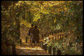 Photograph of two people taking a stroll through the arboretum